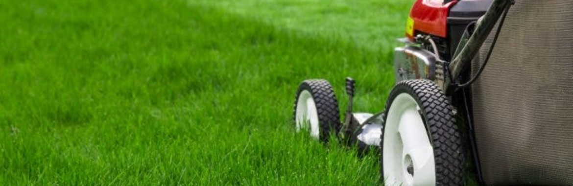 Do’s and Don’ts of Lawn Care