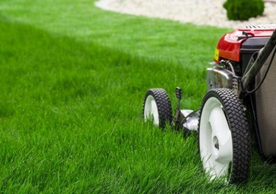 Do’s and Don’ts of Lawn Care