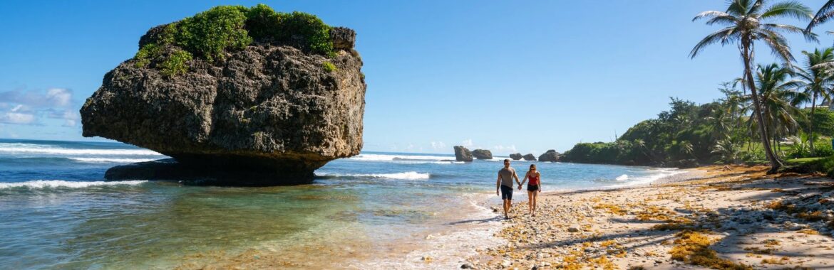 BARBADOS | YOUR ULTIMATE GUIDE TO PURCHASING, OWNING, AND MANAGING VACATION REAL ESTATE IN BARBADOS