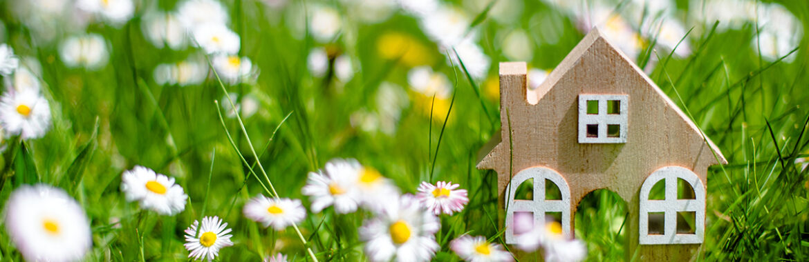 9 TIPS FOR SELLING YOUR HOME IN THE SPRING MARKET