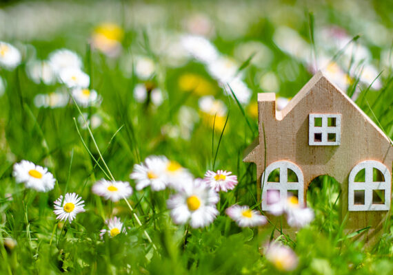 9 TIPS FOR SELLING YOUR HOME IN THE SPRING MARKET